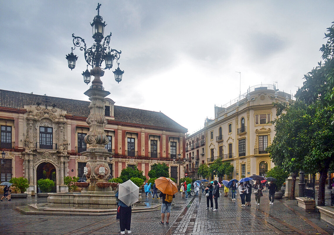 Задача - всё увидеть и не промокнуть - Alexandеr P