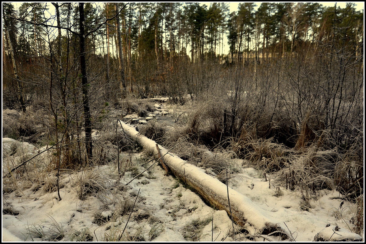 *** - Aleksandr Gal *** - Aleksandr Gal