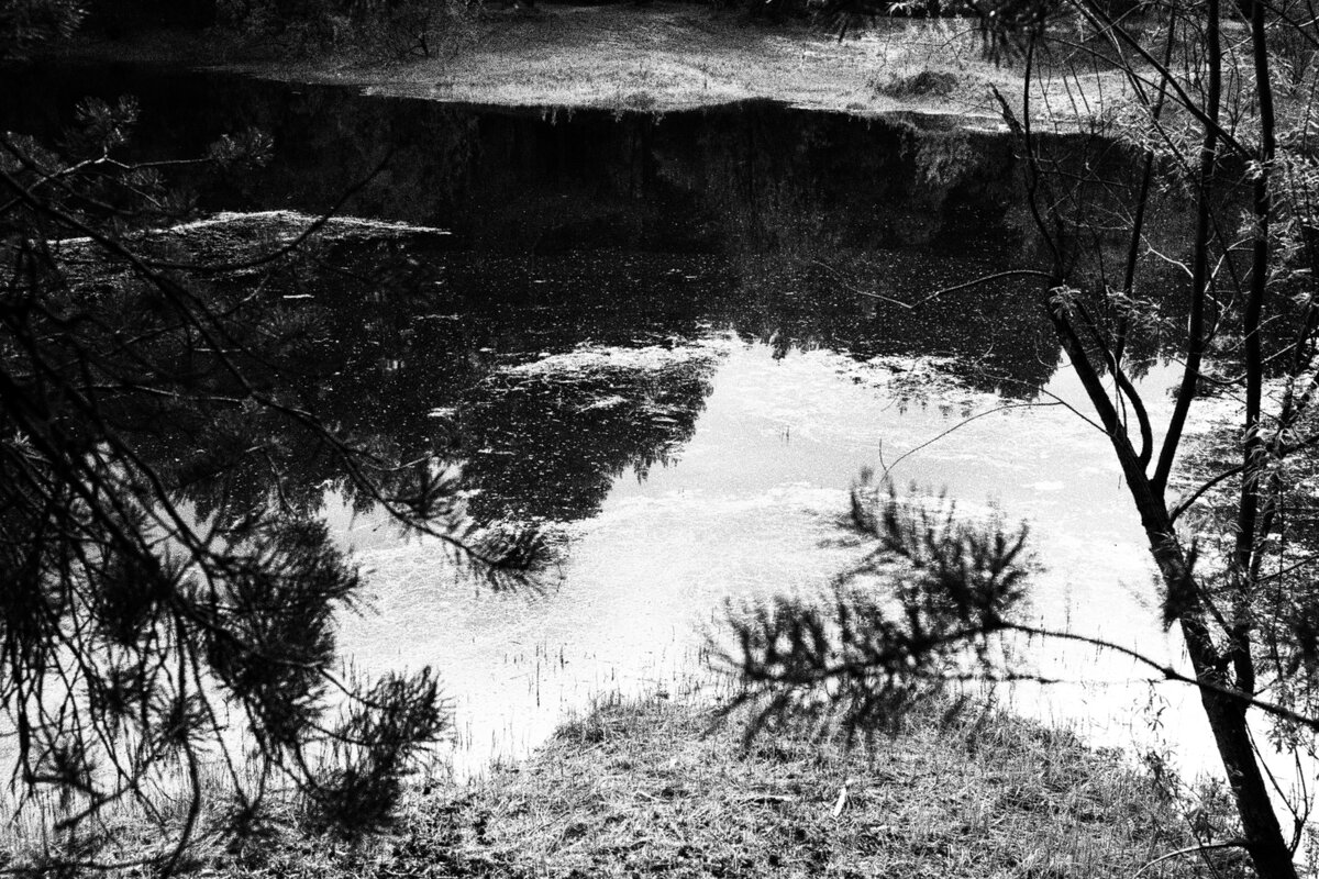 Фотография - Денис Безногов