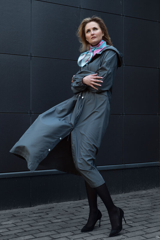 Ветер - Эльвира Стрижевская