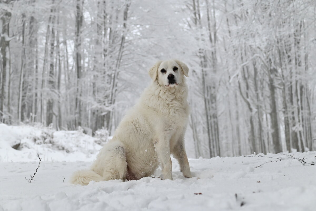 Алита в роли фотомодели - Светлана 