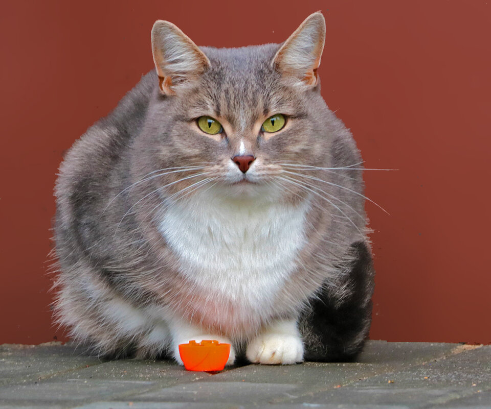 Моя соседка по подъезду - Светлана 