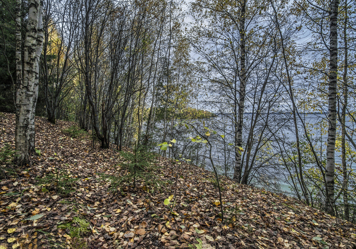 Осень. - Александр Иванович Шитов