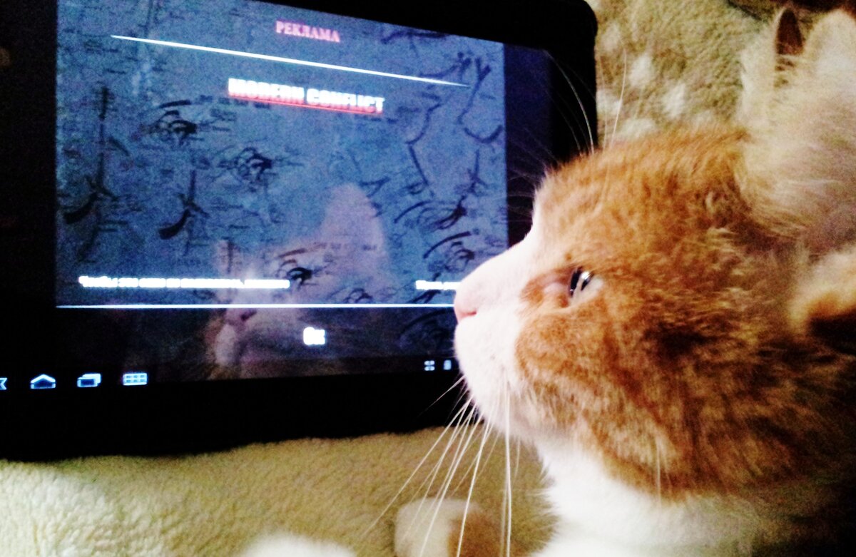 заинтересован - Владимир 