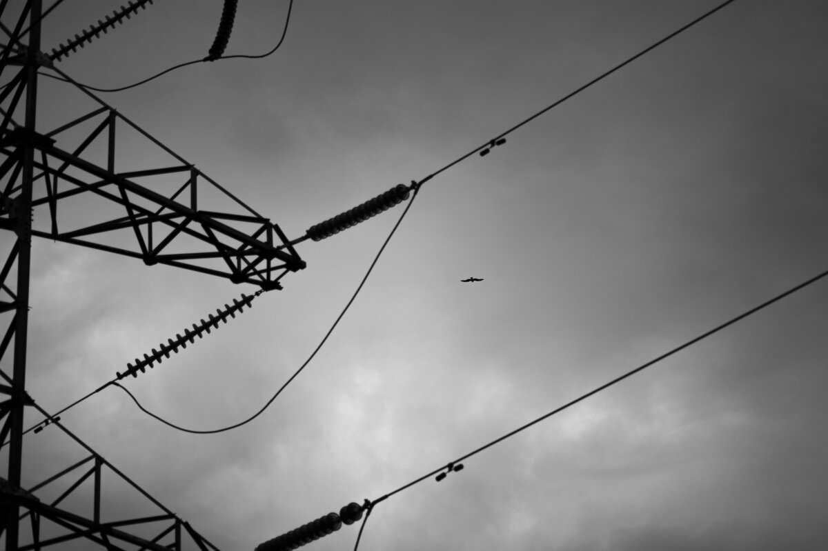 Свобода - Евгений Виличинский Свобода - Евгений Виличинский