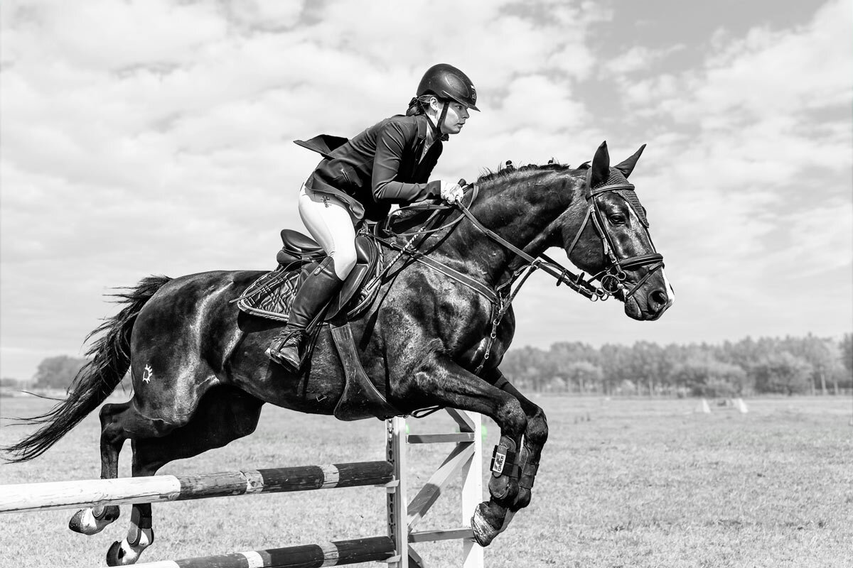 Конкур - SanSan Конкур - SanSan