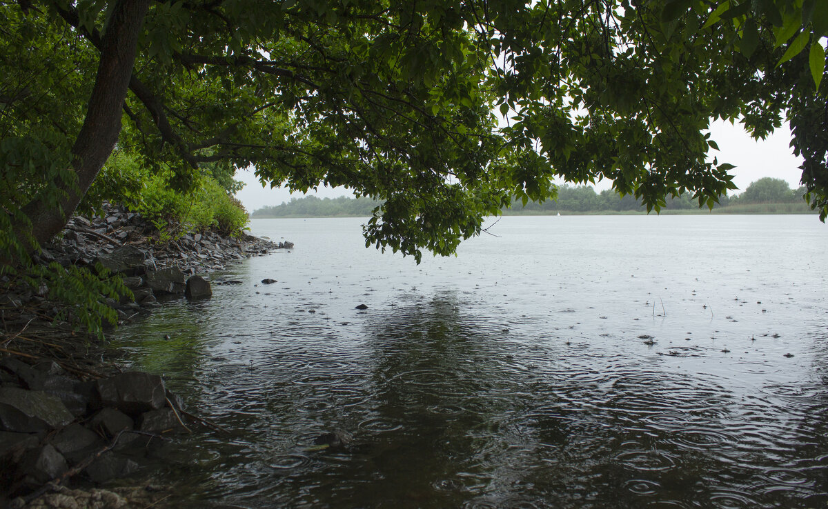 Дождь. - Александр 