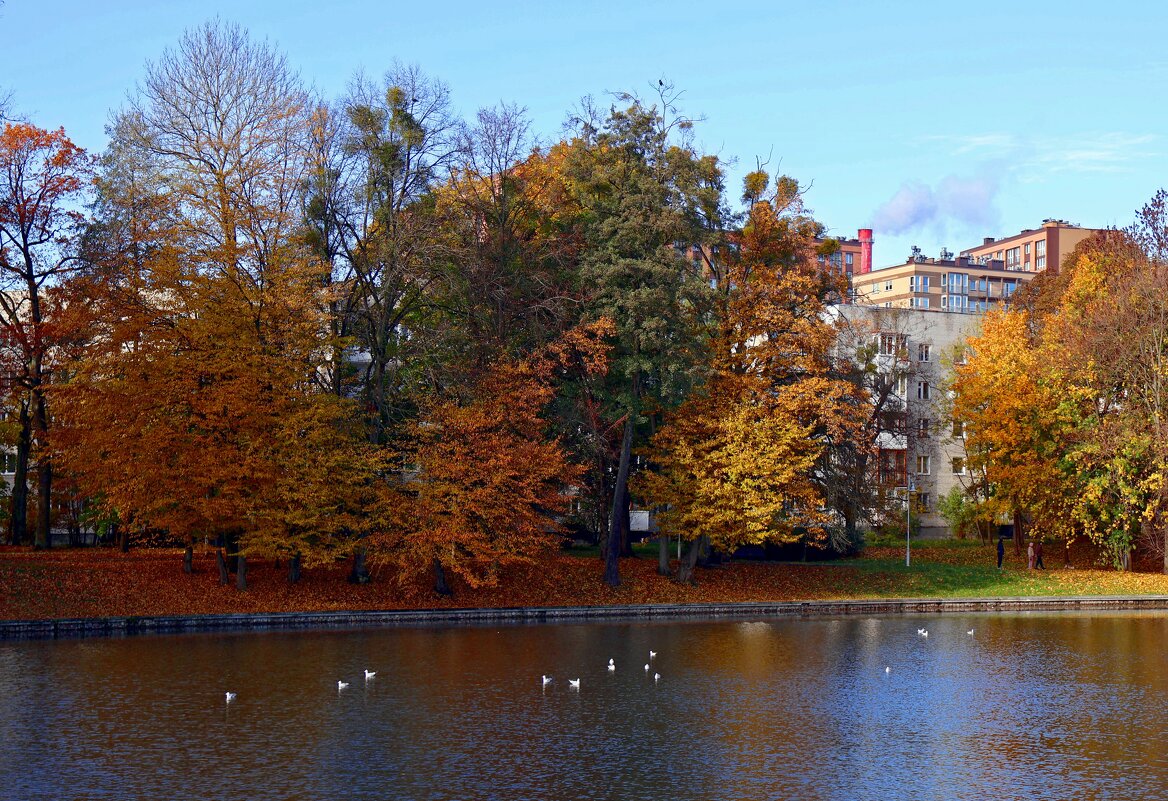 Зоологический пруд - Сергей Карачин