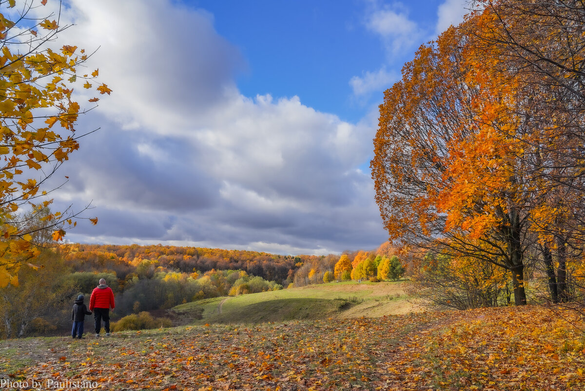 Октябрь в Царицыно... - Владимир Жданов
