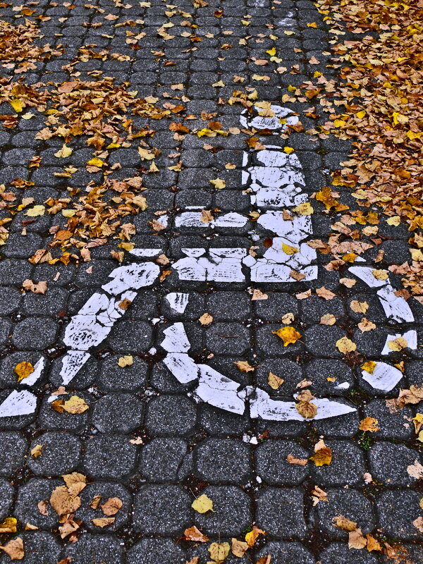 Осень 69 - Алексей Кузнецов