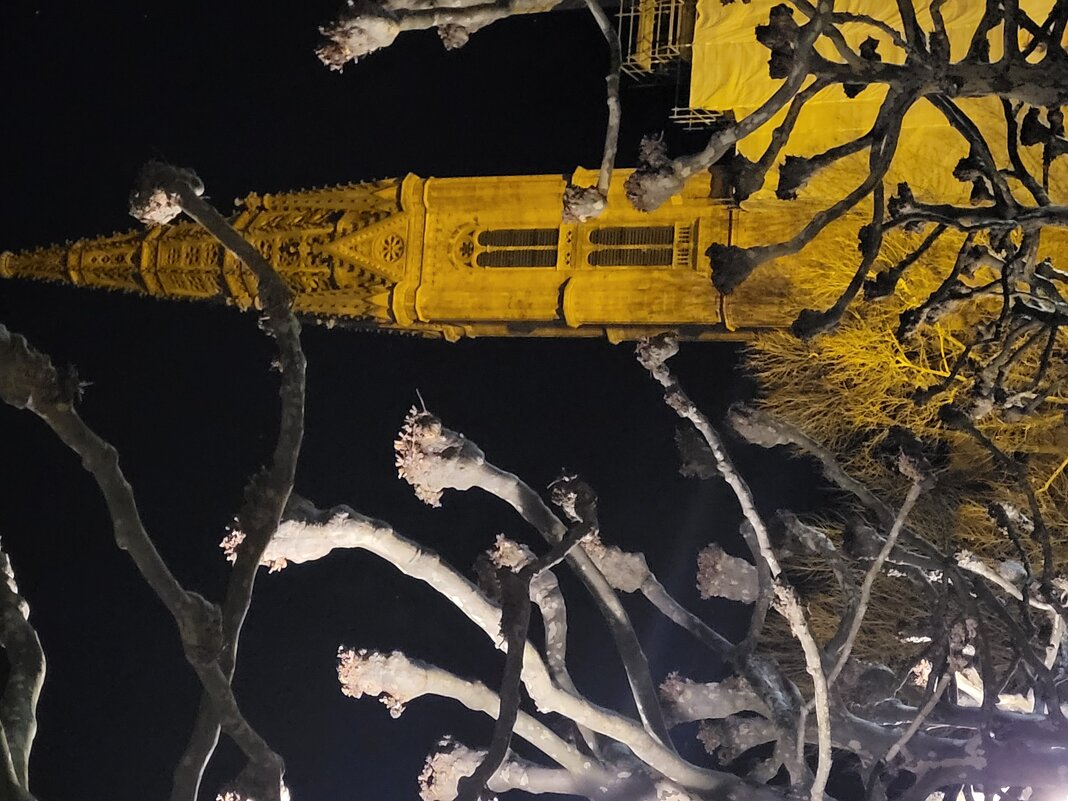 Висбаден - Алла Булашевская