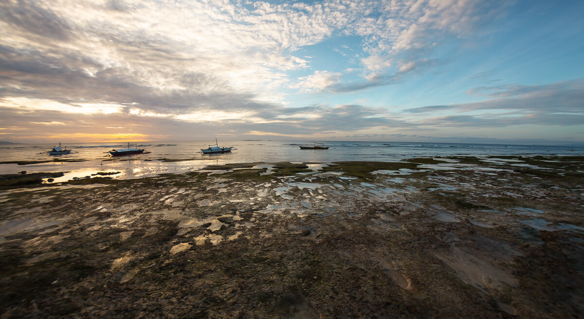 *** - алексей афанасьев