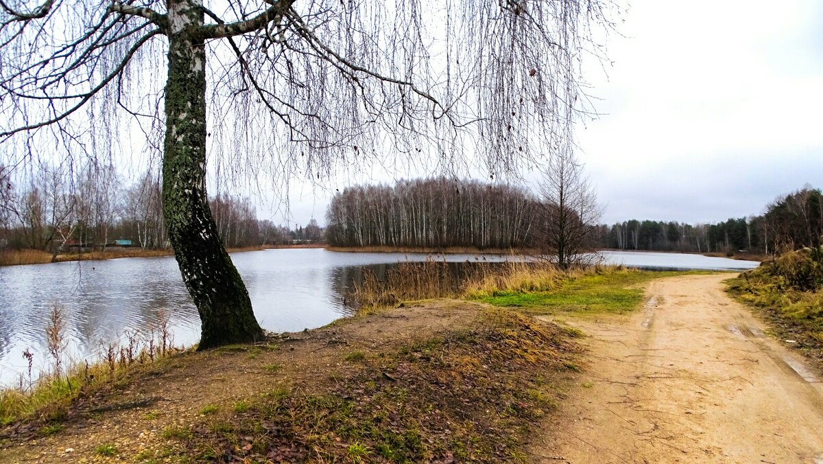 Природа Смоленщины за два дня до календарной зимы. - Милешкин Владимир Алексеевич 