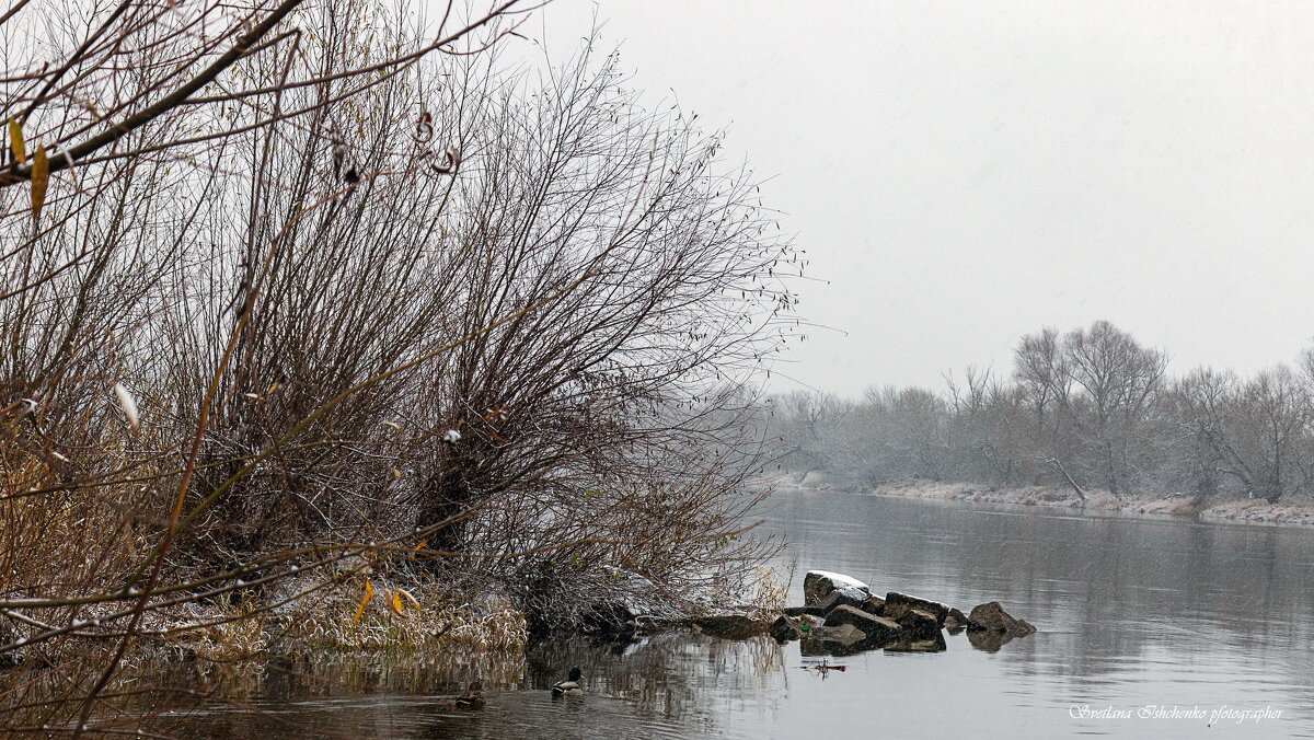 р. Нарев - Светлана Ищенко р. Нарев - Светлана Ищенко