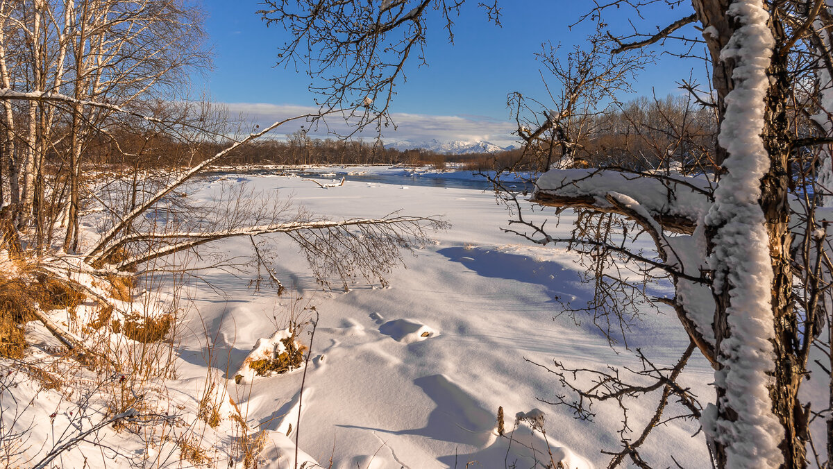 ... - Жора Житников
