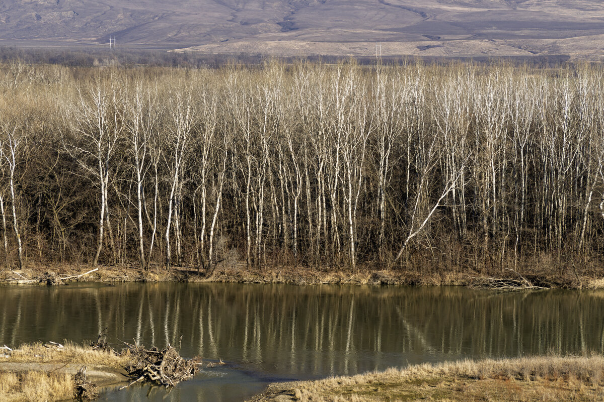 Река Кубань - Игорь Сикорский Река Кубань - Игорь Сикорский