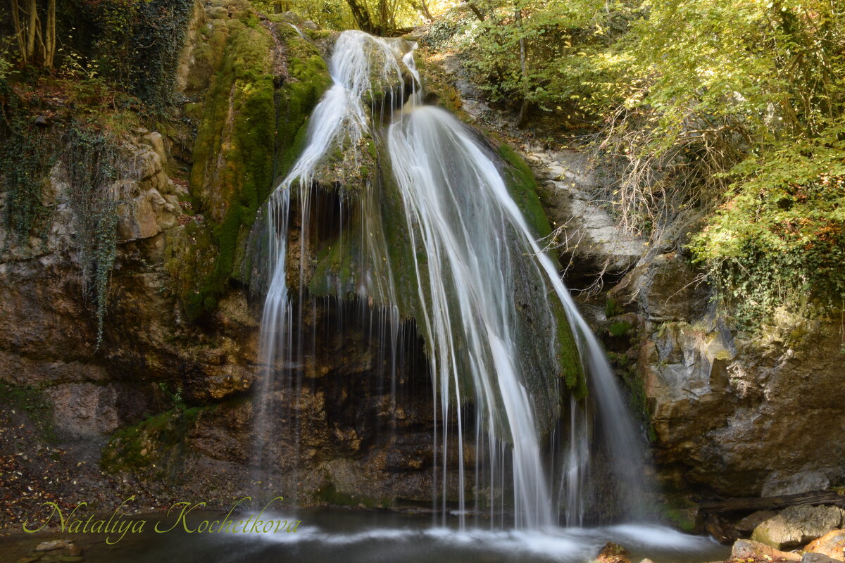 Природа Крыма - Amazing Cosmea Природа Крыма - Amazing Cosmea