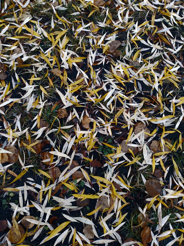 *** - Валентина Береснева