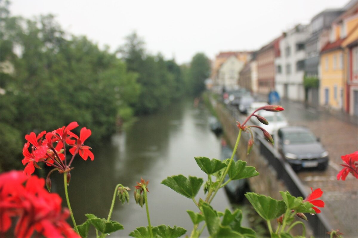 Дождь- это воздух с прослойкой воды - Маргарита Б