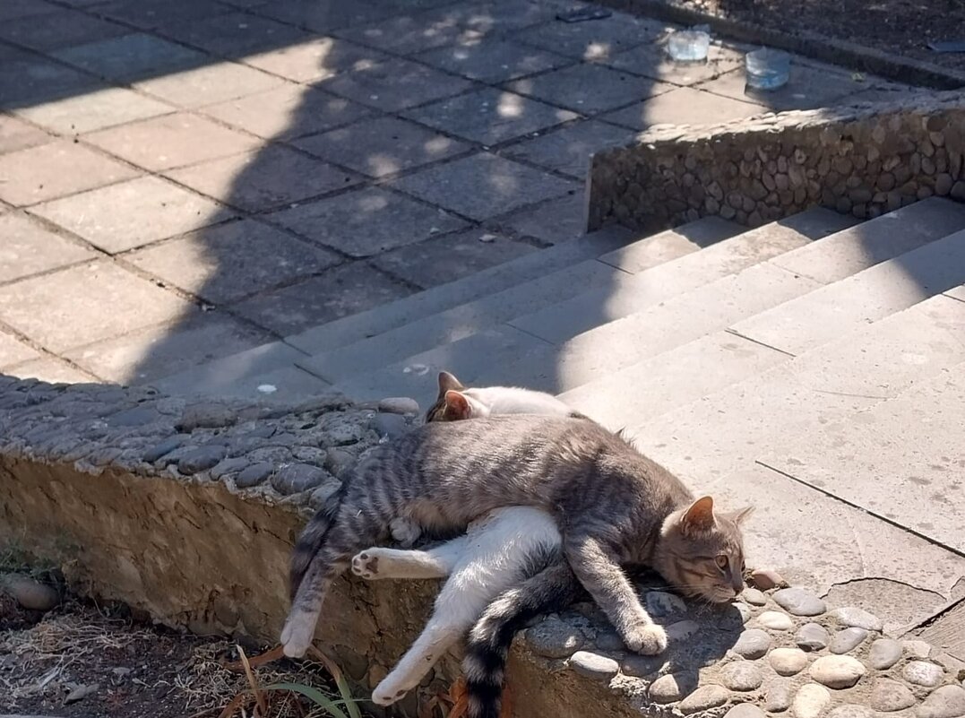 Тихий час - Маргарита Б