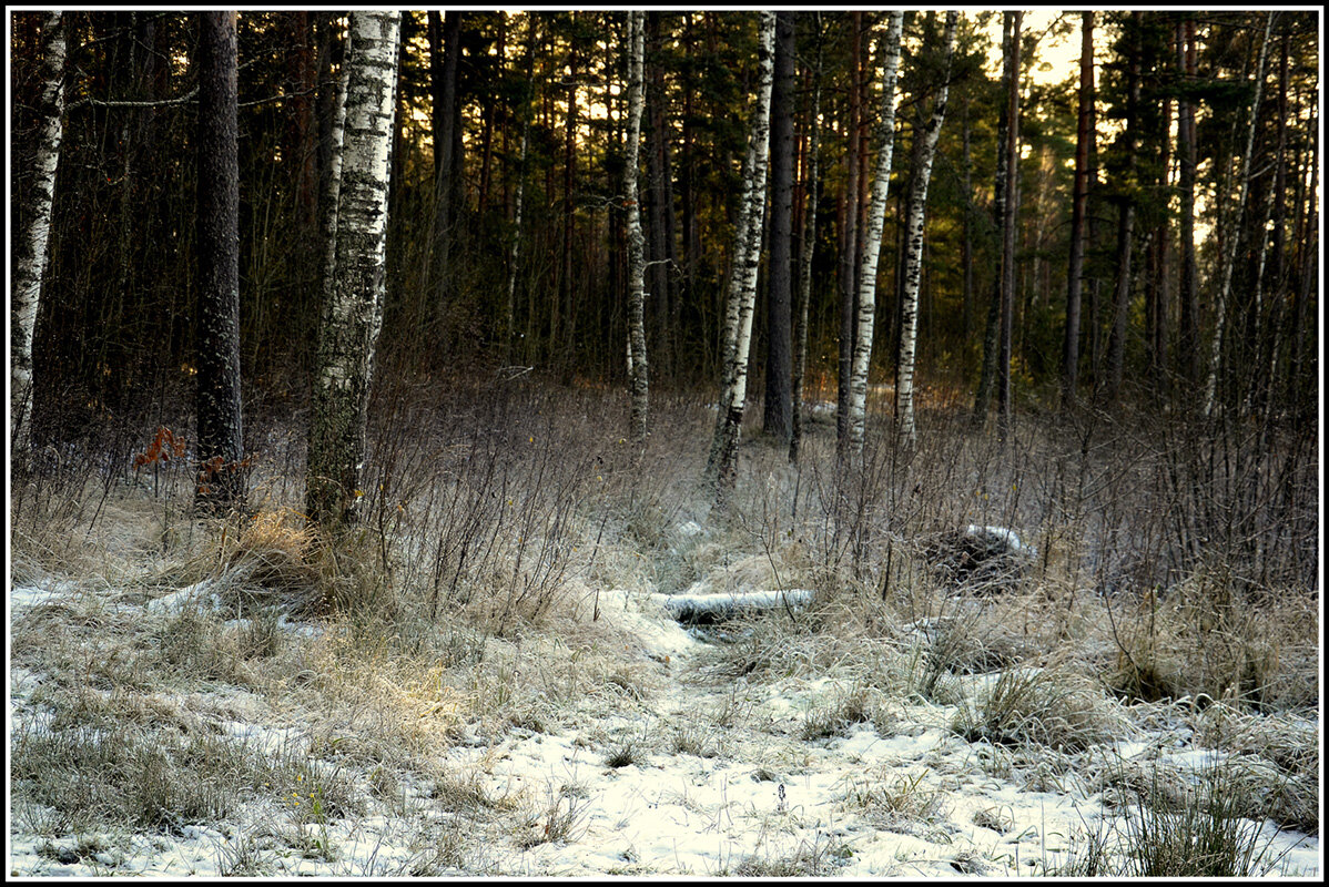 Первый снег - Aleksandr Gal