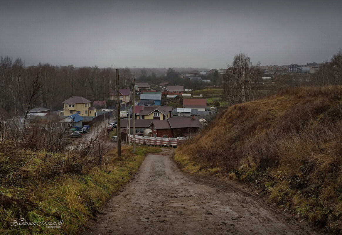 "Серая хмарь. В ожидании снега"© - Владимир Макаров