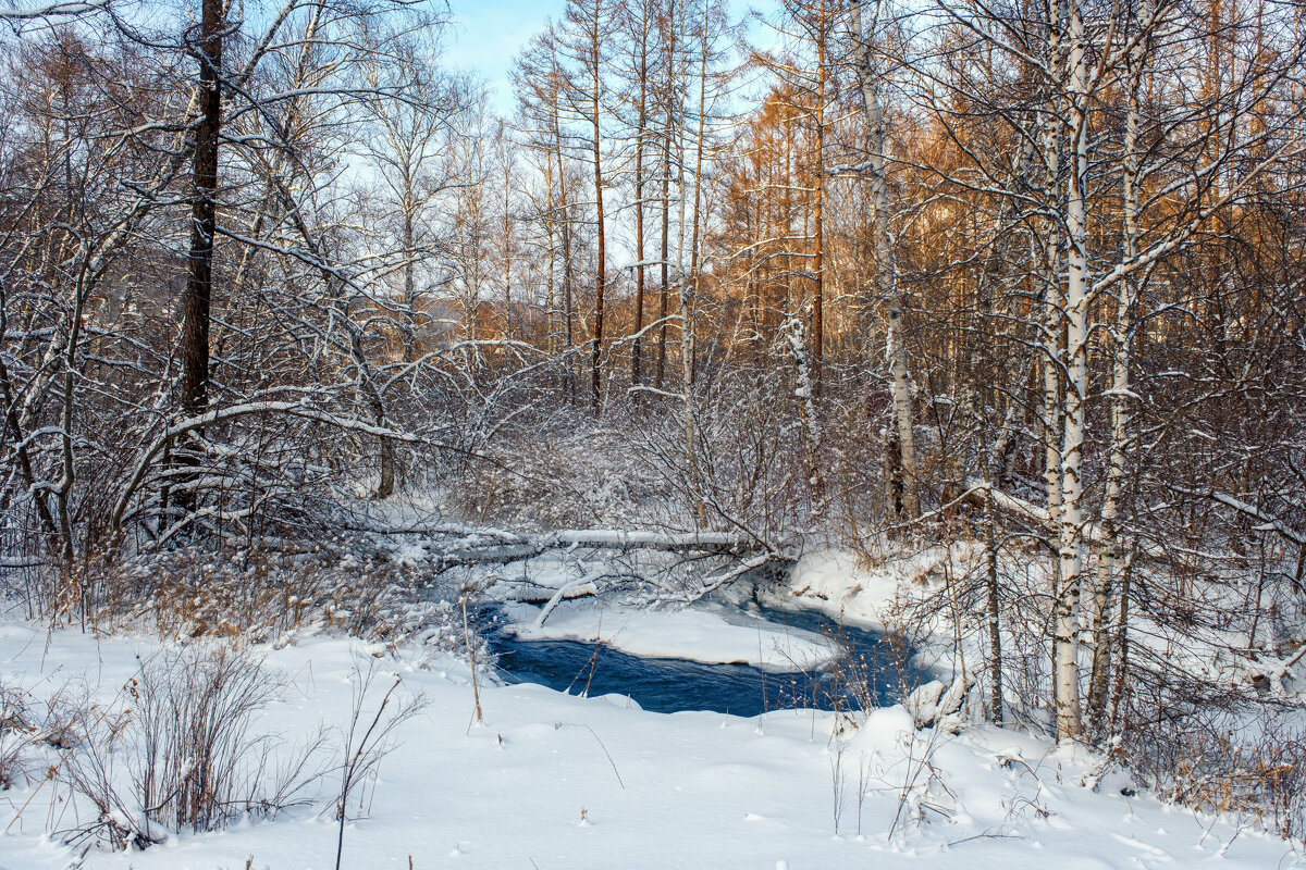 ***** - Алексей Мезенцев