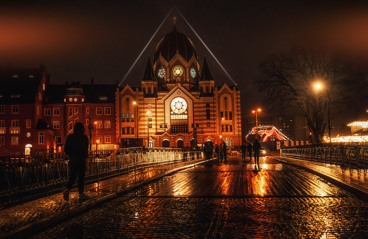 Новая синагога - Лилия .