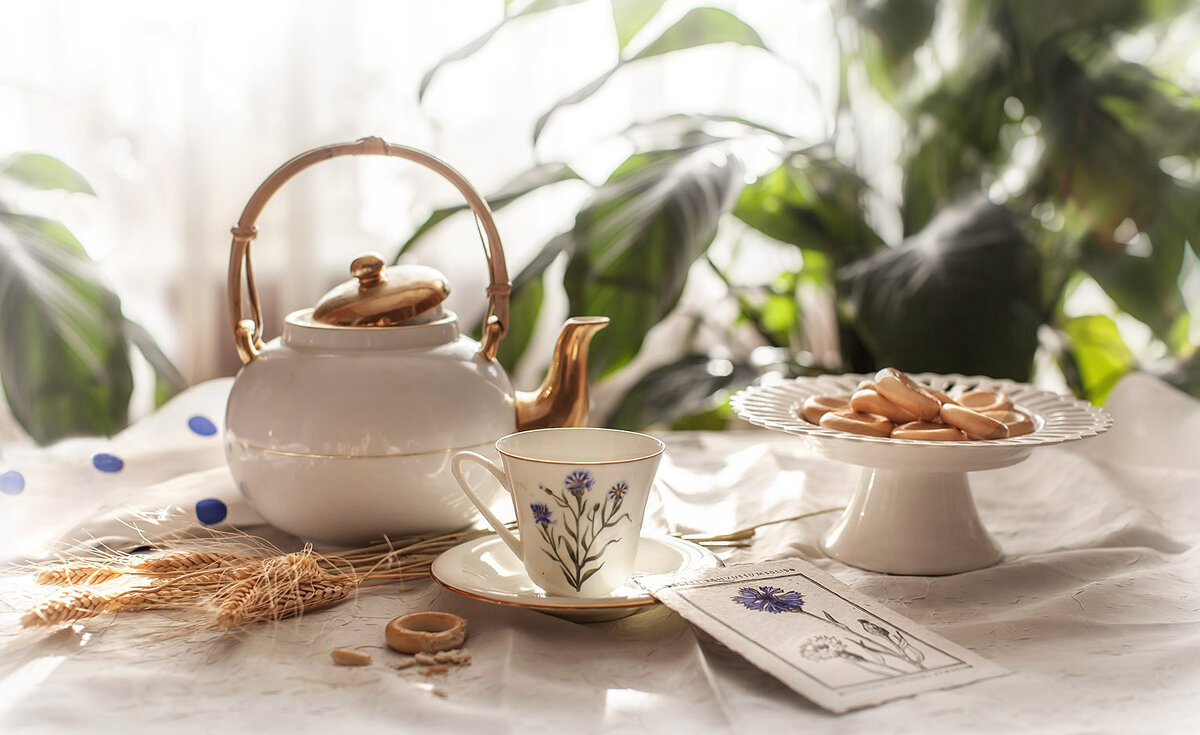 Василек на память... - Bosanat 