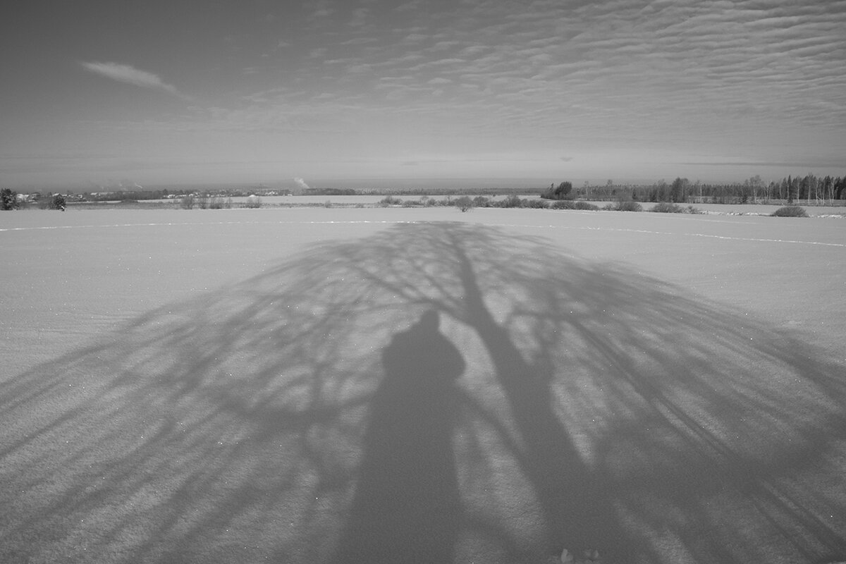 Автопортрет в поле у берёзы - Владимир Носов