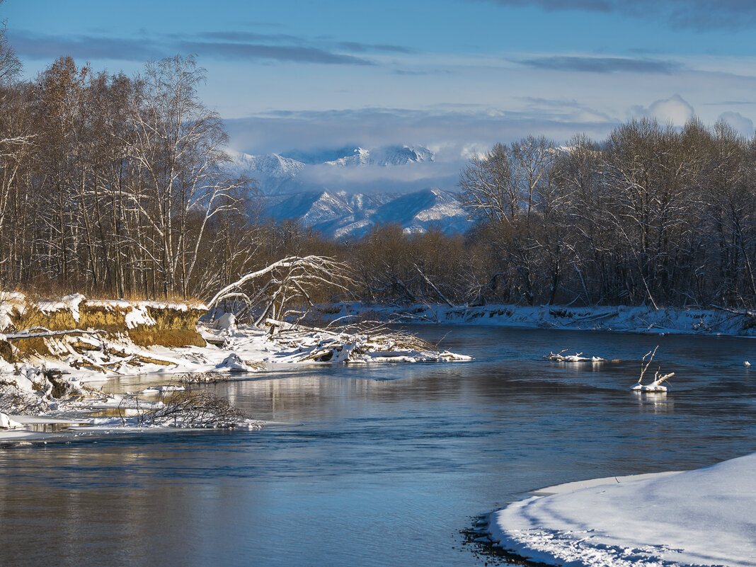 ... - Жора Житников