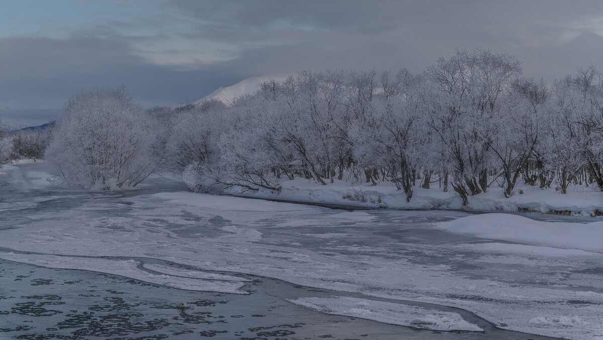 ... - Жора Житников
