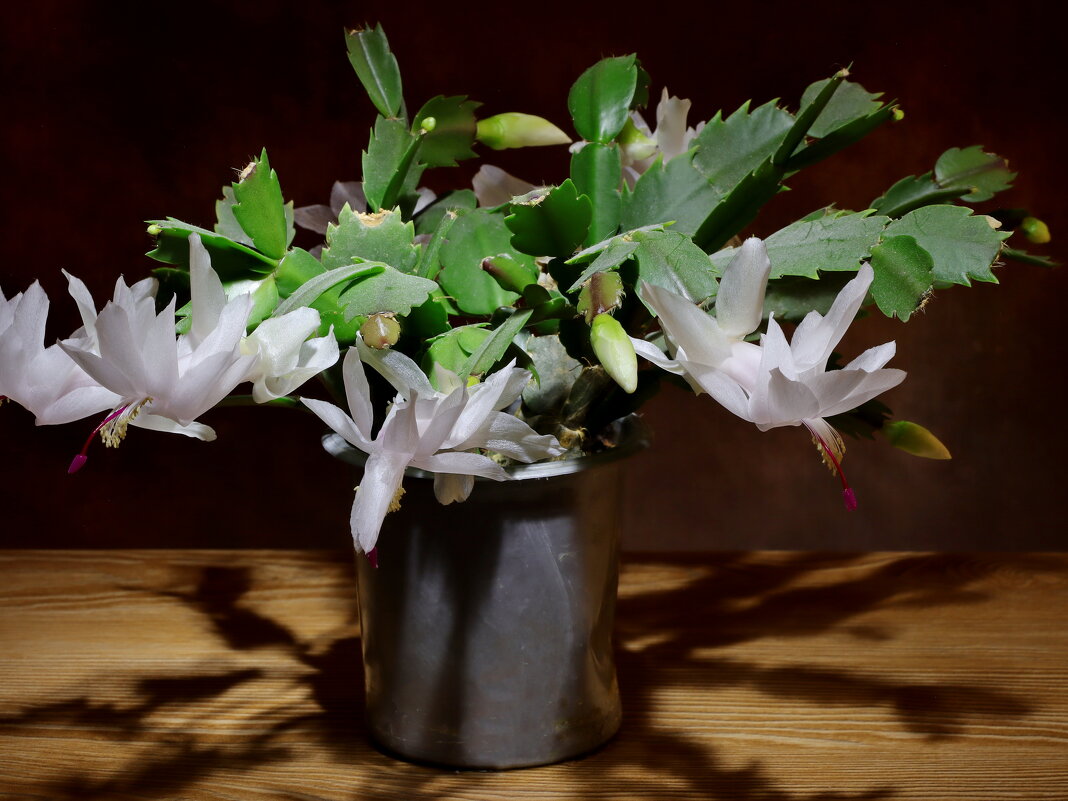 декабрист - Игорь Kуленко