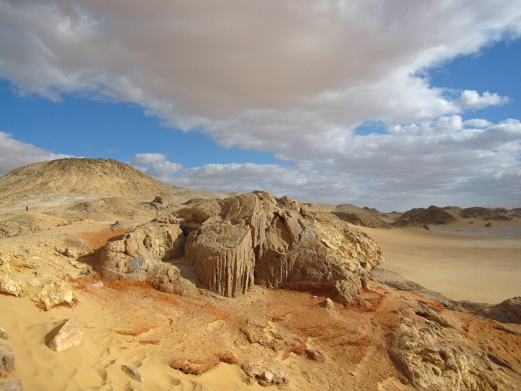 В египетской пустыне. - unix (Илья Утропов)