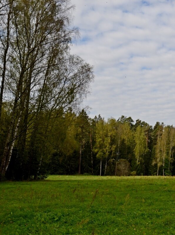 МИХАЙЛОВСКОЕ. - Виктор Осипчук МИХАЙЛОВСКОЕ. - Виктор Осипчук