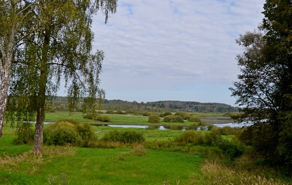 МИХАЙЛОВСКОЕ. - Виктор Осипчук