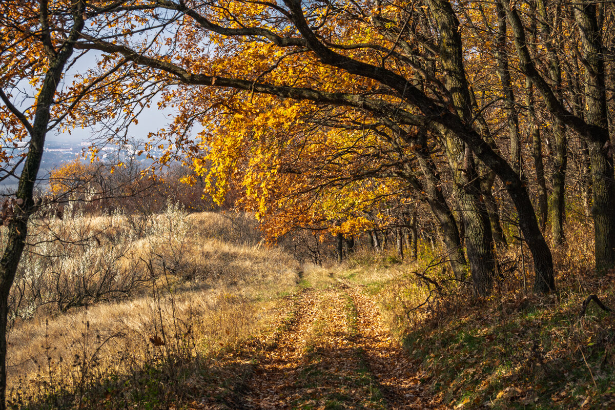 Ноябрь в Краснодарском крае - Игорь Сикорский