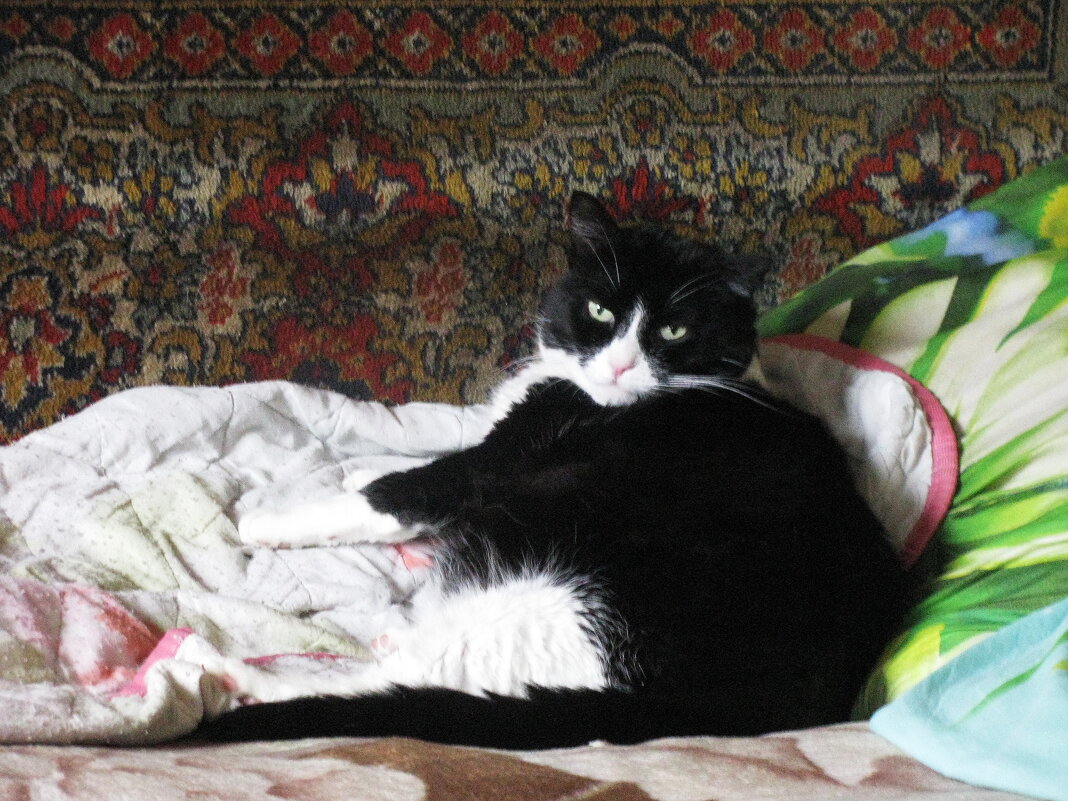 Я проснулся, но так не хочется вставать - Людмила Смородинская