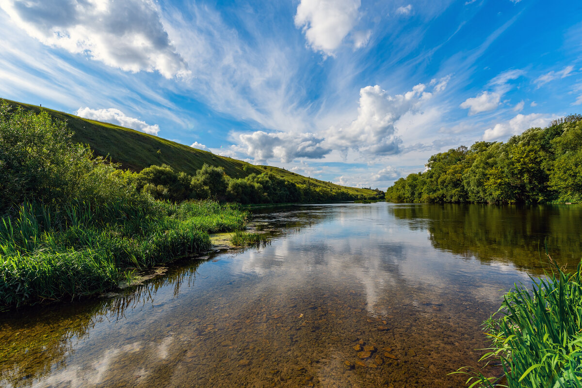 *** - Виталий Емельянов