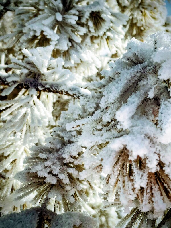 Снега,гор... - Георгиевич 