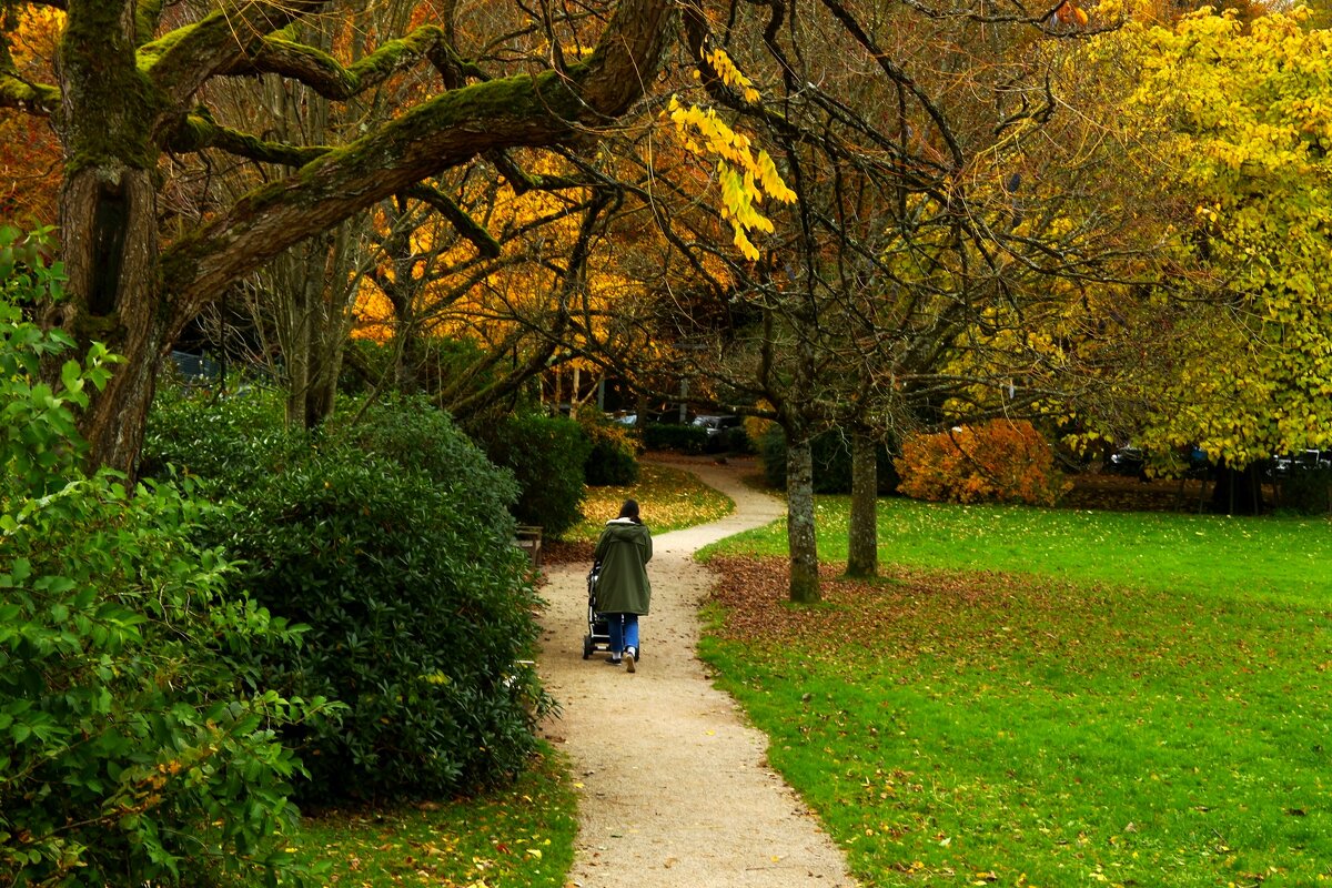 Осенние дорожки - Юрий. Шмаков