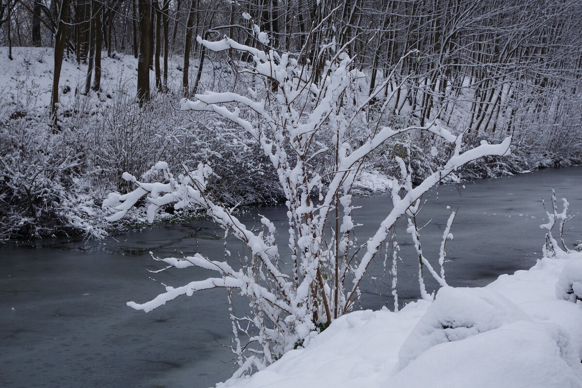 Снежный ноябрь - Рита Симонова Снежный ноябрь - Рита Симонова