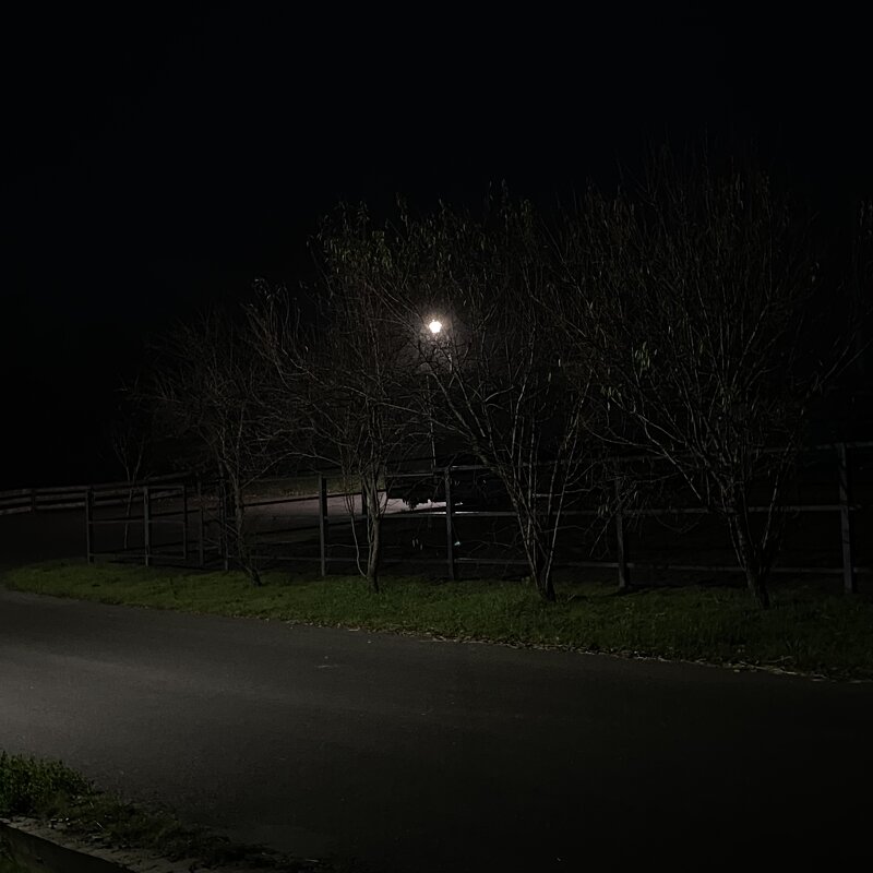 Свет на рассвете - М С