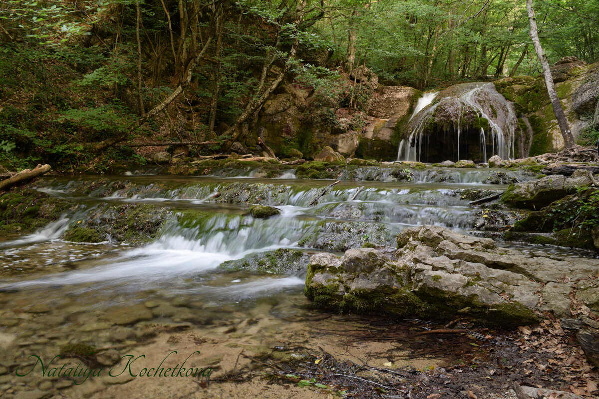 Природа Крыма - Amazing Cosmea