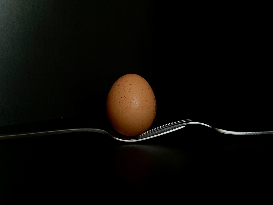 Минималистическое яйцо - Галина 