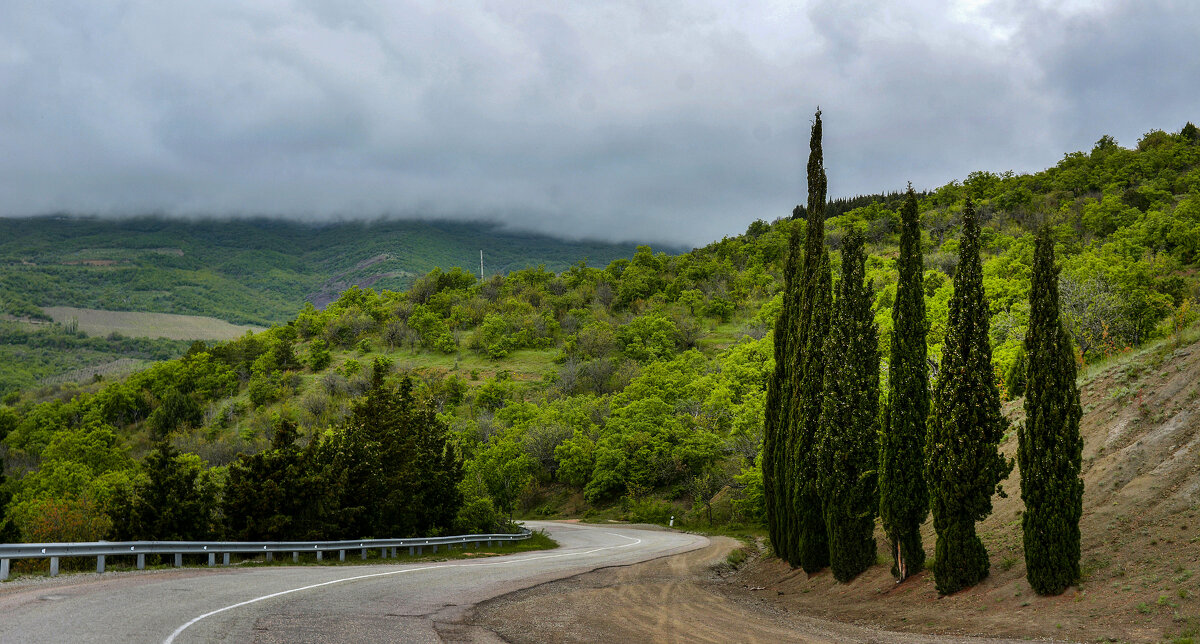 Дорога. - Сергей Воротников