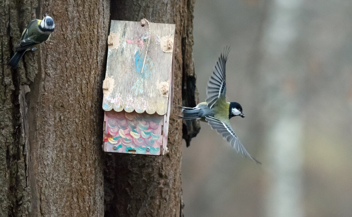 Трудные времена настают... - Владимир Безбородов