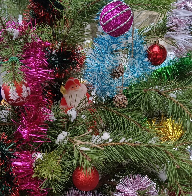 Здравствуй, декабрь - Мария Васильева