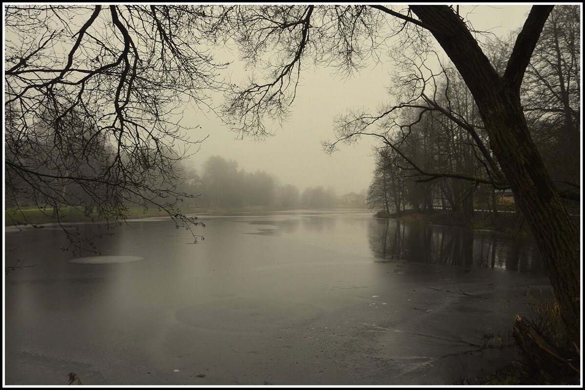 пришел туман.... - Aleksandr Gal