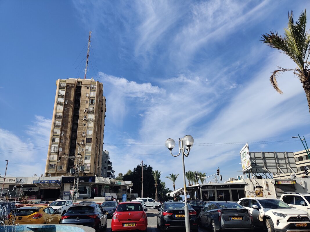 " - Светлана Хращевская